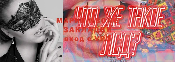 PSILOCYBIN Абинск