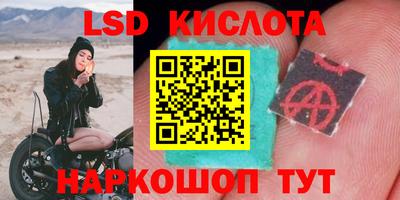 винт Ливны
