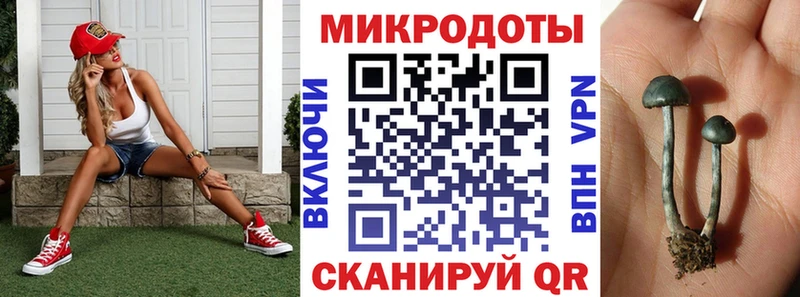 как найти наркотики  Избербаш  Псилоцибиновые грибы Cubensis 