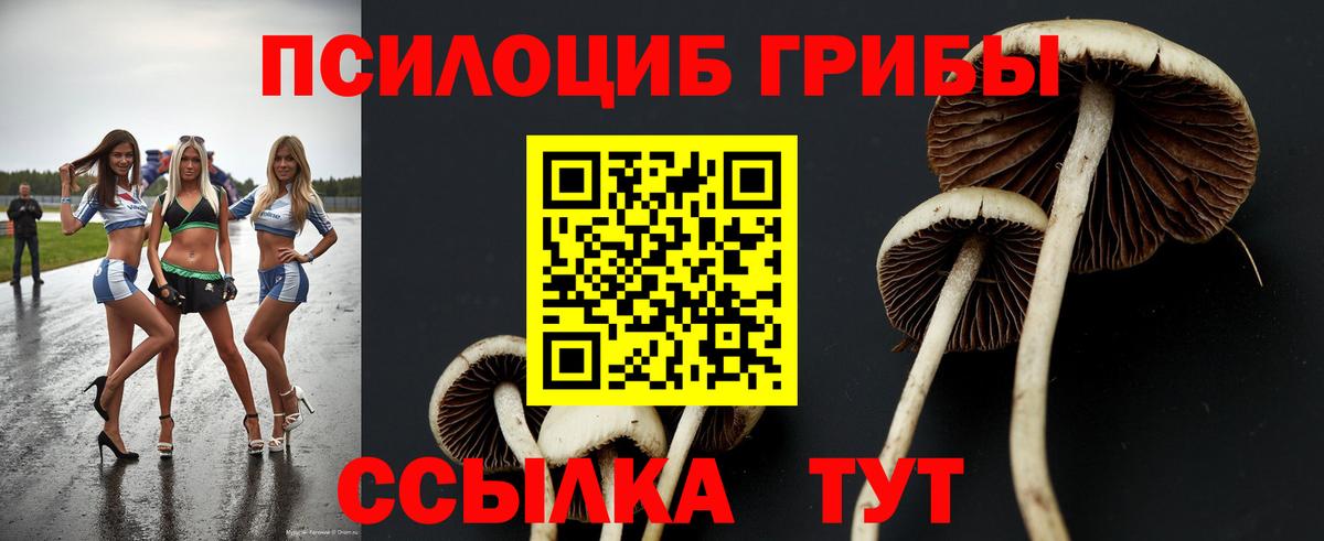 Меф МЯУ МЯУ кристаллы  Избербаш  Каннабис  НБОМе  Вход с VPN  Бошки Шишки 