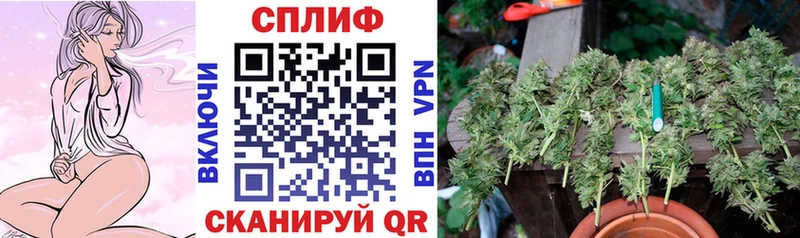 где купить наркоту  Избербаш  Каннабис конопля 